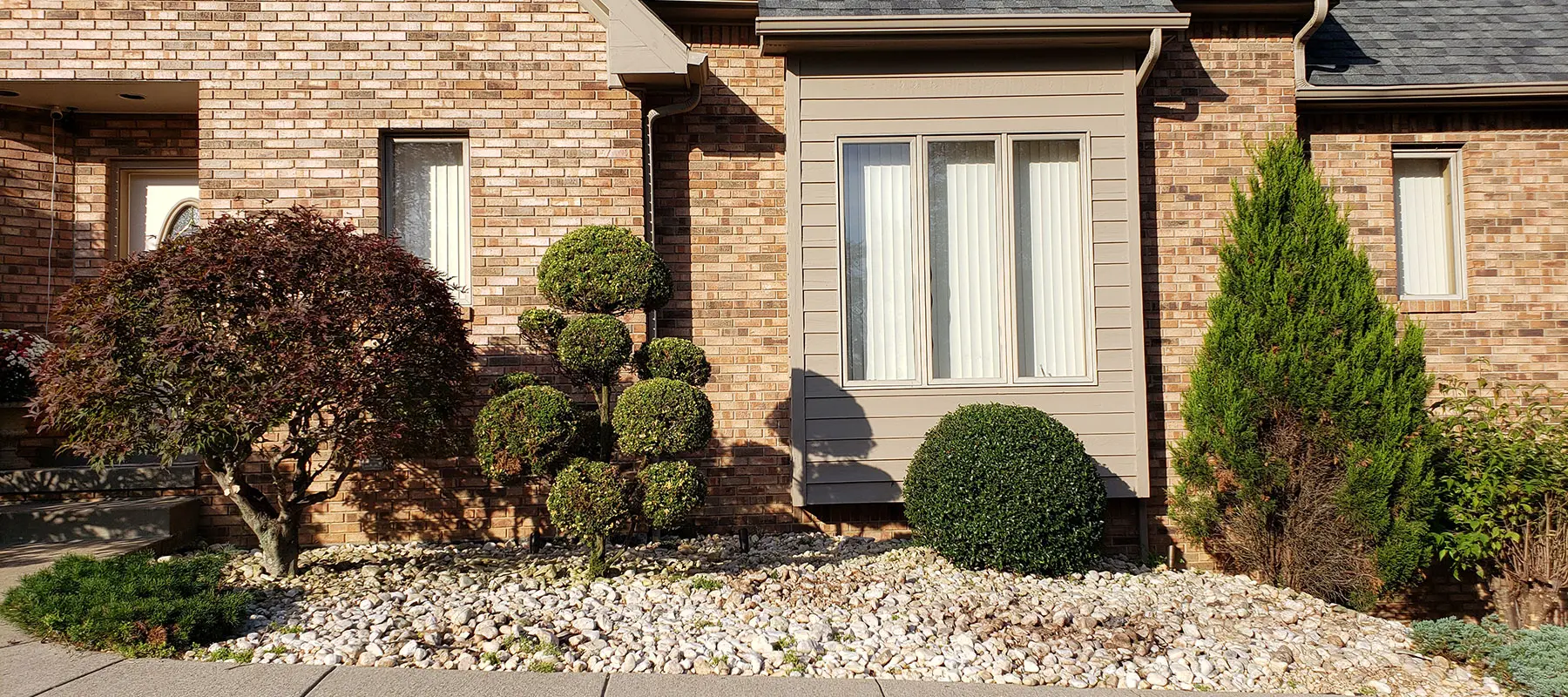 Tree service background